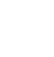 icon spec